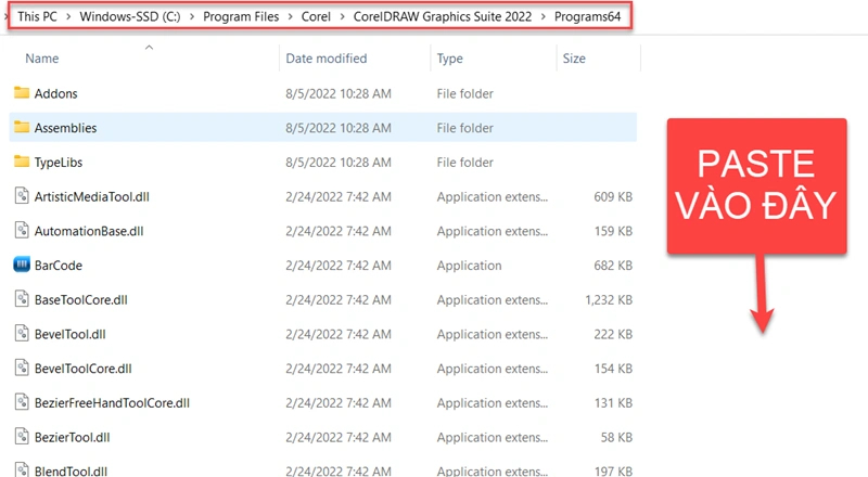 tải CorelDRAW 2022 11
