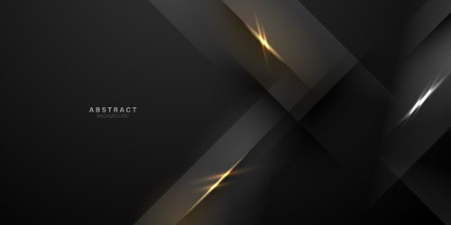 Abstract luxury black background vector free download